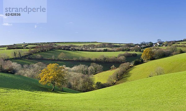 rollen  Europa  Ländliches Motiv  ländliche Motive  Großbritannien  England  Somerset