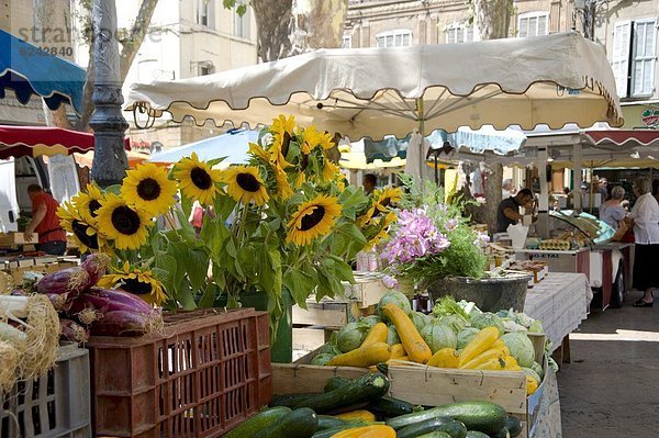 Frankreich  Europa  Gemüse  Halle  Stadt  Quadrat  Quadrate  quadratisch  quadratisches  quadratischer  Sonnenblume  helianthus annuus  verkaufen  Provence - Alpes-Cote d Azur  Woche  Aix-en-Provence  Bouches-du-Rhone  Markt
