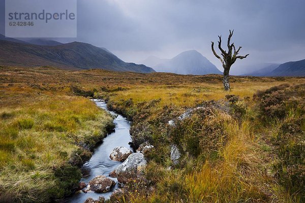 Europa Großbritannien Landschaftlich schön landschaftlich reizvoll Highlands Moor Schottland
