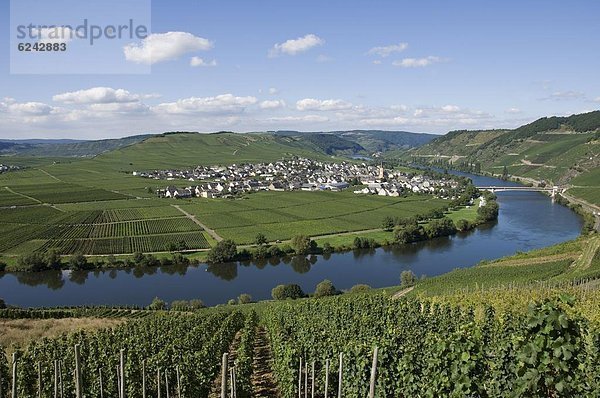 Europa  Fluss  Weinberg  Sperre  Deutschland