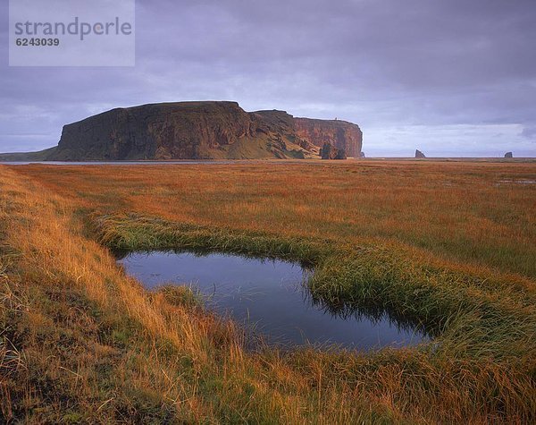 Dyrholaey Inselberg und Klippen  südlichsten Punkt von Island  der tief liegenden Küste bei Vik  Iceland  Polarregionen