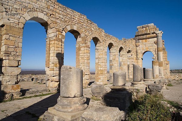 Nordafrika  Großstadt  Ruine  UNESCO-Welterbe  Afrika  Marokko  römisch  Volubilis