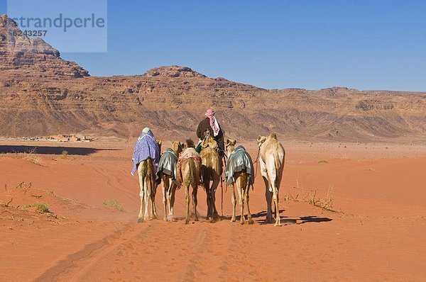 Karawane  Landschaftlich schön  landschaftlich reizvoll  Wüste  Naher Osten  Schönheit  Kamel  Campingwagen  Rum
