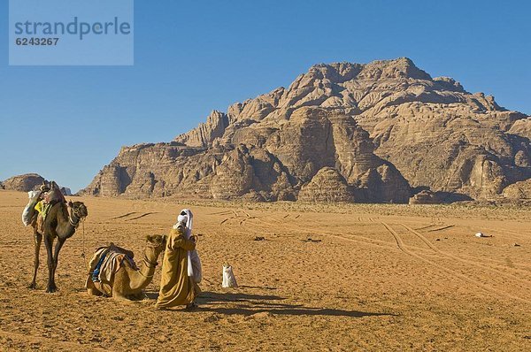 Landschaftlich schön  landschaftlich reizvoll  Naher Osten  Schönheit  Kamel  Beduine  Rum