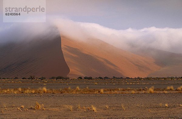 Morgen  aufwärts  Dunst  Sand  früh  rot  Namibia  Düne  Namib Naukluft Nationalpark  Afrika