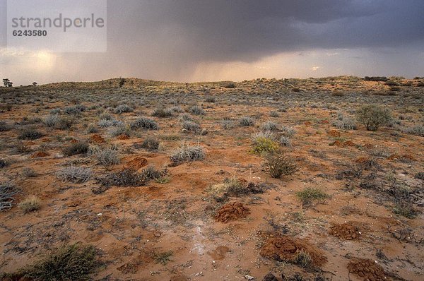 Südliches Afrika  Südafrika  Wolke  über  Wüste  Regen  Kalahari  Afrika  August