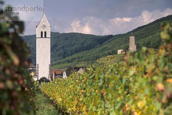 Frankreich  Europa  Wein  Fernverkehrsstraße  weiß  Kirche  Dorf  Weinberg  Elsass
