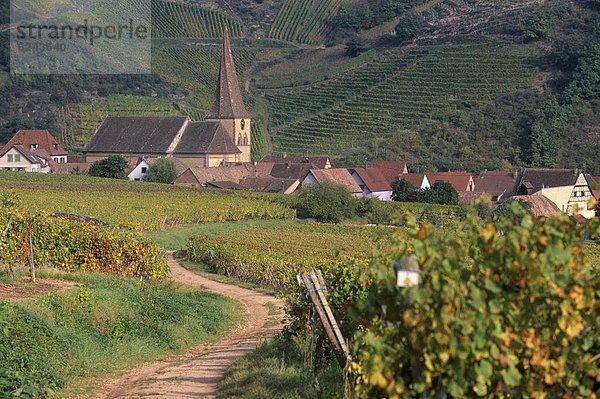 Frankreich  Europa  Wein  Fernverkehrsstraße  bizarr  Dorf  verdreht  Elsass  Glocke