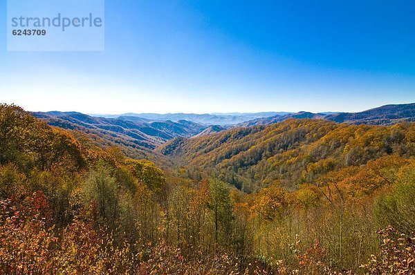 Vereinigte Staaten von Amerika  USA  Sommer  über  Tal  bunt  Indianer  Nordamerika  Ansicht  Great Smoky Mountains Nationalpark  UNESCO-Welterbe  Laub  Tennessee