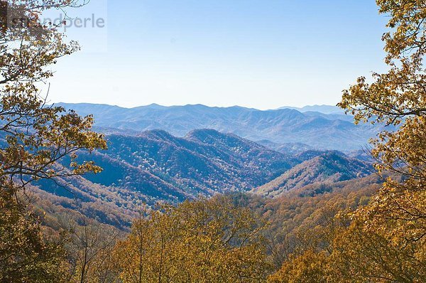 Vereinigte Staaten von Amerika  USA  Sommer  über  Tal  bunt  Indianer  Nordamerika  Ansicht  Great Smoky Mountains Nationalpark  UNESCO-Welterbe  Laub  Tennessee