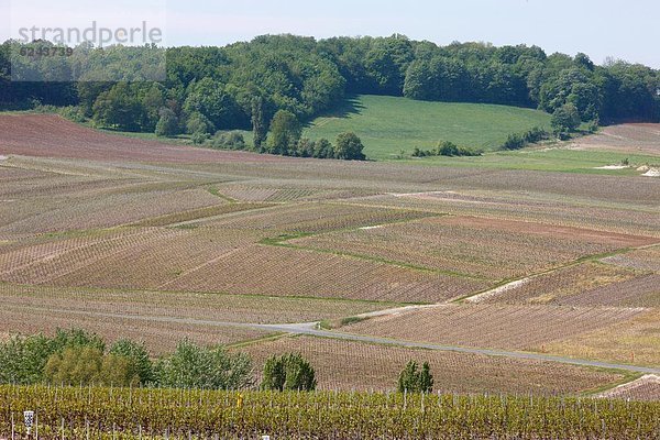 Frankreich  Europa  Marne