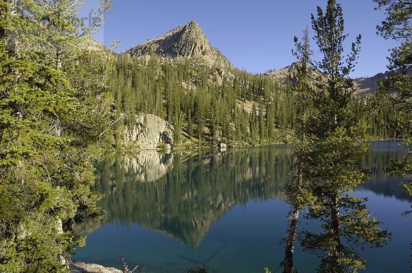 Vereinigte Staaten von Amerika  USA  Nordamerika  Rocky Mountains  Idaho  Sawtooth National Recreation Area