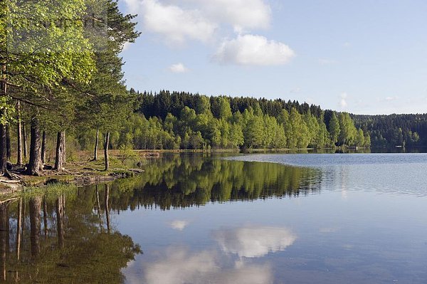 Oslo  Hauptstadt  Europa  Norwegen  Skandinavien