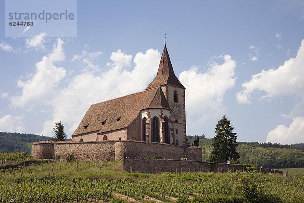 Frankreich  Europa  Wein  Ehrfurcht  Kirche  Weinberg  Richtung  befestigen  Elsass  Jahrhundert  Haut-Rhin  Hunawihr