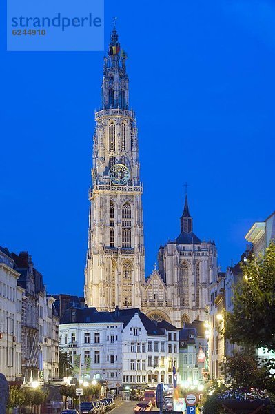 beleuchtet  Europa  Nacht  Antwerpen  Belgien  Flandern