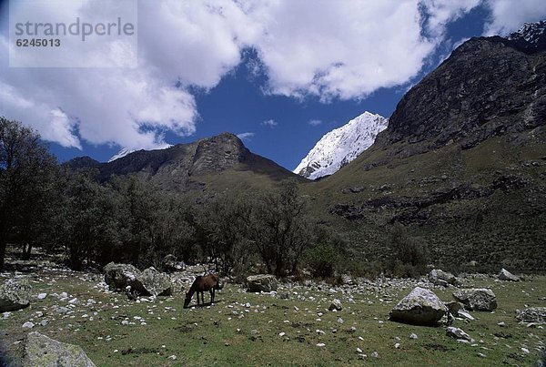 Außenaufnahme  Berg  Großstadt  Anden  Peru  Südamerika