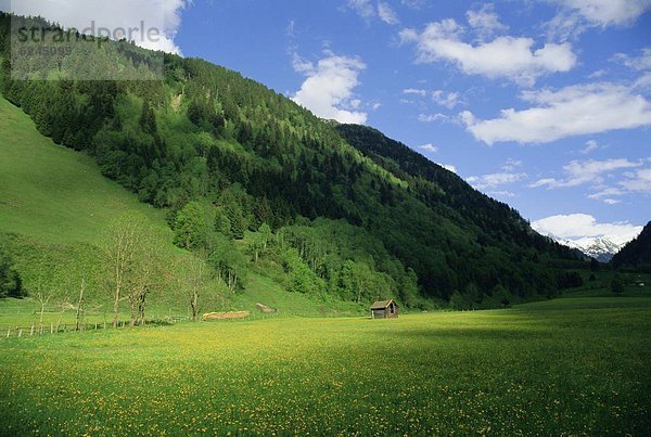 Europa  Österreich  Hohe Tauern Nationalpark