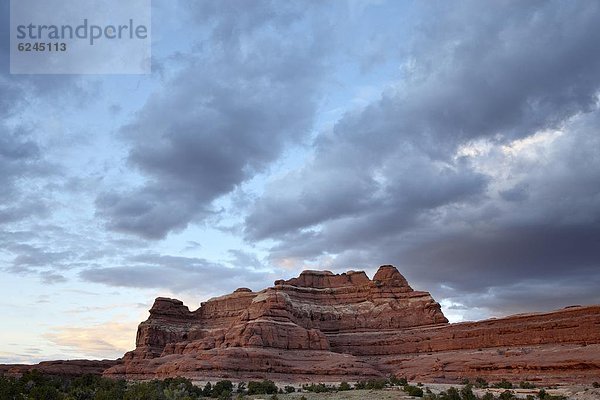 Vereinigte Staaten von Amerika  USA  Felsbrocken  Wolke  Sonnenuntergang  Anordnung  Nordamerika  rot  Canyonlands Nationalpark  Utah