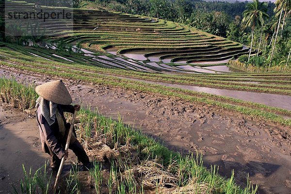 Südostasien  Asien  Indonesien