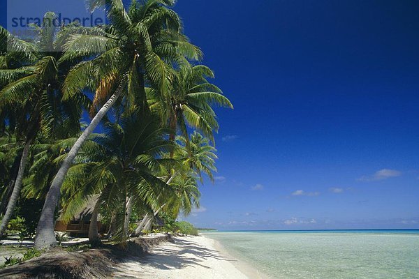 Strand  Pazifischer Ozean  Pazifik  Stiller Ozean  Großer Ozean  Französisch-Polynesien