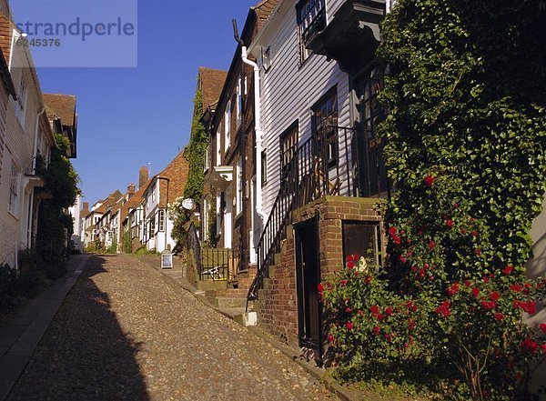 Europa Großbritannien Roggen England Sussex