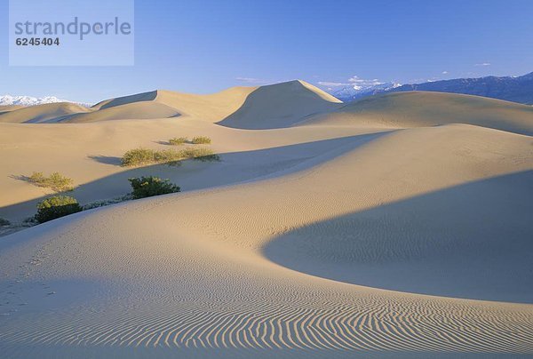 Vereinigte Staaten von Amerika  USA  Düne  Death Valley Nationalpark  Kalifornien