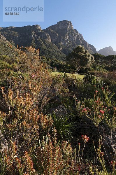 Südliches Afrika Südafrika Afrika Kapstadt