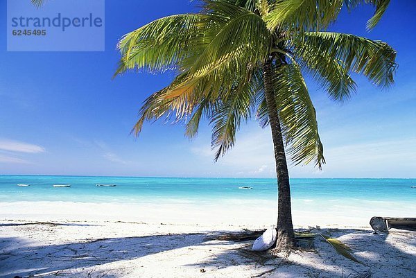 Ostafrika  Palme  Strand  Ozean  weiß  Sand  Indianer  Afrika  Tansania