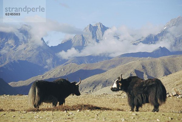 China  Asien  Tibet