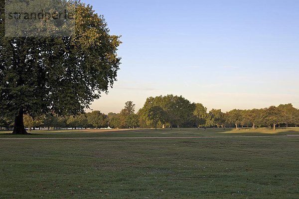 Hyde Park  London  England  Großbritannien  Europa