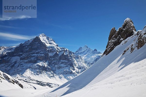 Europa  Westalpen  Berner Oberland  Schweiz