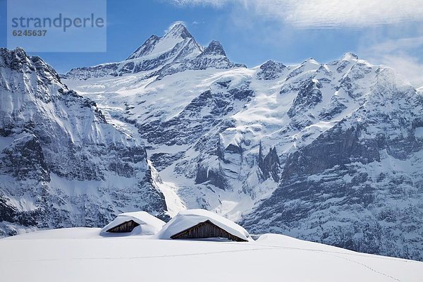 Europa Berg Gebäude frontal Ski Stück Schreckhorn Westalpen Berner Oberland begraben Grindelwald Schweiz Schweizer Alpen
