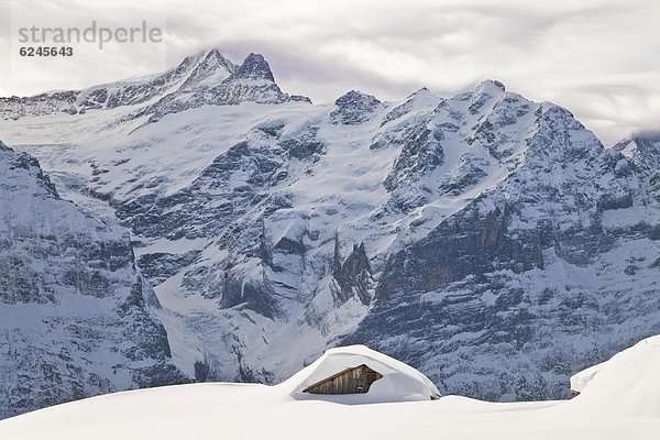 Europa frontal Eiger Norden Westalpen Berner Oberland Grindelwald schwer Schnee Schweiz Schweizer Alpen