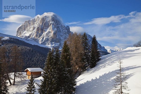 Hütte  Europa  Berg  Winter  bedecken  frontal  Dolomiten  Trentino Südtirol  Italien  Schnee  Grödnertal