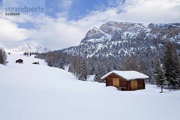Hütte Europa Berg Winter bedecken Landschaft Dolomiten Trentino Südtirol Italien Schnee Grödnertal Trentino-Südtirol