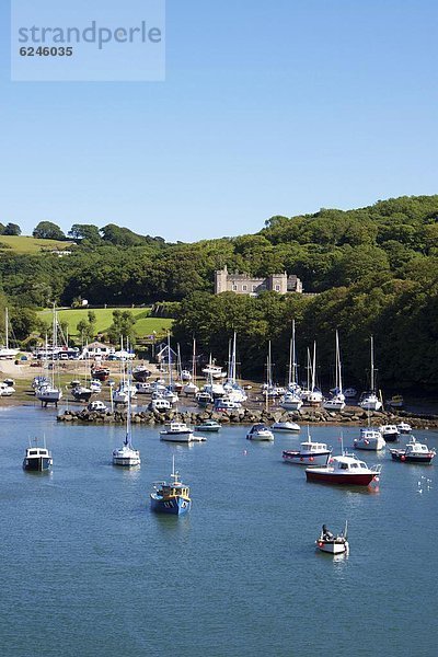 Europa  Großbritannien  Devon  England