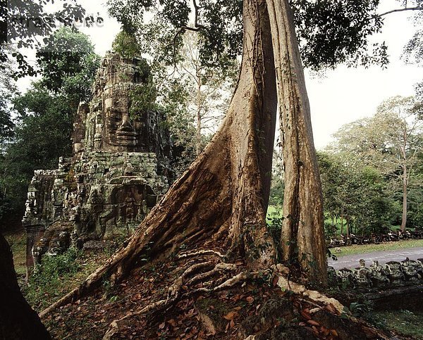 Südostasien  UNESCO-Welterbe  Vietnam  Angkor  Angkor Thom  Asien  Kambodscha