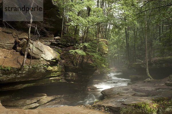 Hocking Hills State Park  Ohio  Vereinigte Staaten von Amerika  Nordamerika