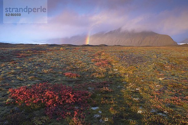 entfernt  nahe  Farbaufnahme  Farbe  über  Herbst  Island  Regenbogen  Skaftafell Nationalpark