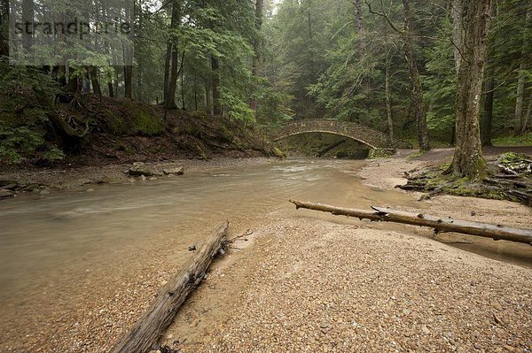 Hocking Hills State Park  Ohio  Vereinigte Staaten von Amerika  Nordamerika