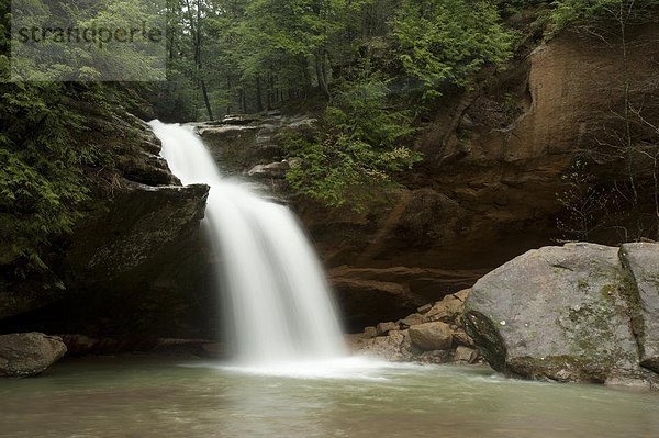 Hocking Hills State Park  Ohio  Vereinigte Staaten von Amerika  Nordamerika