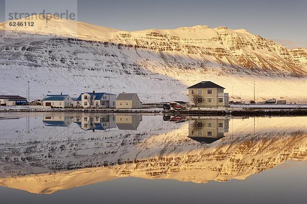 Hafen Europa Stadt Fähre Norwegen angeln Betrieb Island