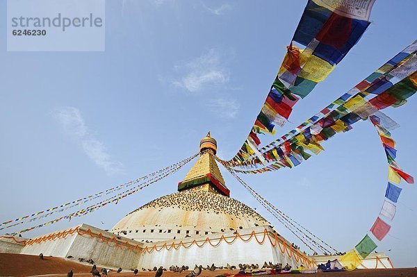 Kathmandu  Hauptstadt  Fahne  Wildtaube  Stupa  Asien  Nepal  Gebet