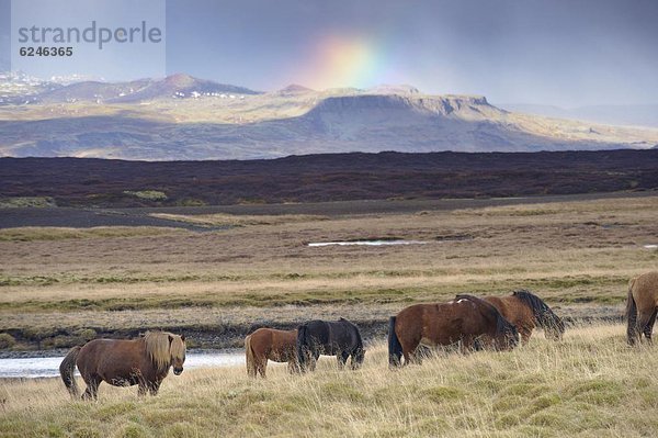 hinter  bedecken  Snaefellsnes  Island  Regenbogen  Schnee