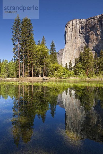 Vereinigte Staaten von Amerika  USA  Tal  fließen  Fluss  Nordamerika  Wiese  Flut  Yosemite Nationalpark  UNESCO-Welterbe  El Capitan  Kalifornien  Merced