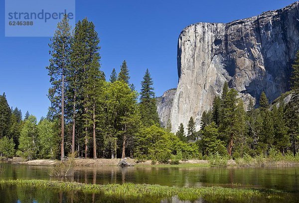 Vereinigte Staaten von Amerika  USA  Tal  fließen  Fluss  Nordamerika  Wiese  Flut  Yosemite Nationalpark  UNESCO-Welterbe  El Capitan  Kalifornien  Merced