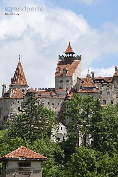 Dracula Schloss Bran  Rumänien  Europa