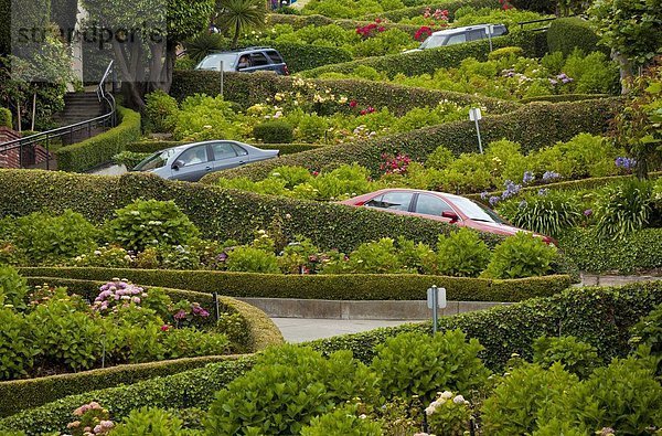 Vereinigte Staaten von Amerika  USA  Straße  Großstadt  Nordamerika  Langsamkeit  Kalifornien  San Francisco  Straßenverkehr