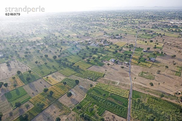 Wärme  Baum  Luftballon  Ballon  Feld  Himmel  Ansicht  Morgendämmerung  Asien  Indien  Rajasthan