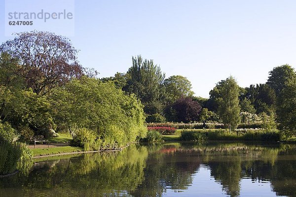 Ein Teich in Queen Marys Gardens  Regents Park  London  England  Großbritannien  Europa